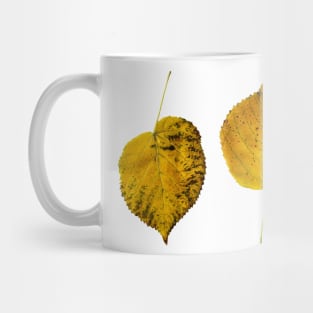 Autumn Maple Leaf Mug